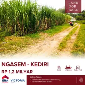 Tanah Sawah DIJUAL Di Kembangan, Ngasem, Kab Kediri. Dekat Dengan Peru