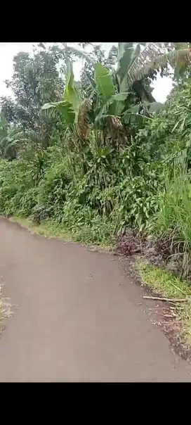 jual tanah di Rumpin