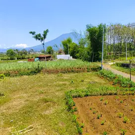 TANAH KARANGPLOSO MURAH 210 METER