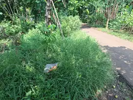Di Jual Tanah di Mekarwangi Cisauk Tangerang