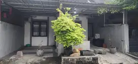 Rumah Spring Of Tomorrow, Kec Taman, Sidoarjo