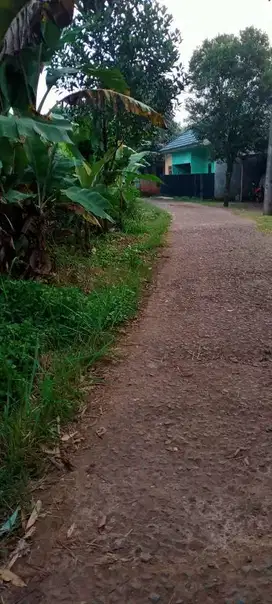 dijual tanah digunung sindur