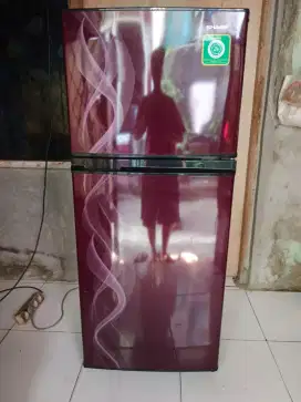 Kulkas 2 Pintu merk Sharp Normal