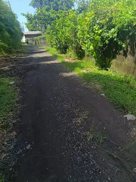 tanah dekat pantai kelating tabanan