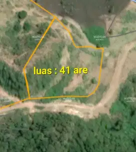 FREEHOLD 41 Are plot in Selong Belanak - Lombok
