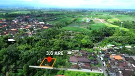 Ocean-View Land for Luxury Villas in Kedungu, Bali