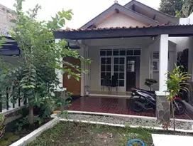 Rumah Sewa Dengan Banyak Kamar Wajib 2 Tahun Sudah Renovasi Siap Huni