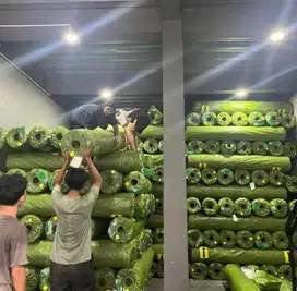 Rumput Sintetis 1Roll 2m x 25m Harga Pabrik Termurah