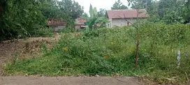 tanah di cisauk