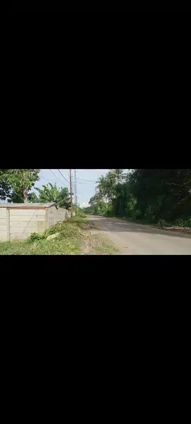 dijual tanah di cisauk
