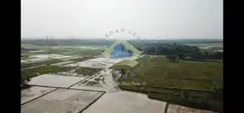 Jual Tanah di Pasir Gintung Jayanti, Balaraja - Tangerang, Banten