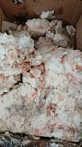 Jual Muntahan Ikan Paus(Ambergris)