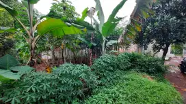 Jual Tanah 70m² lokasi belakang Parung