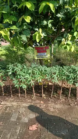 Dijual cepat !! tanah kavling