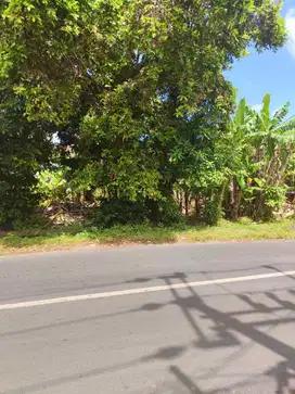 Tanah ungasan kuta selatan Balicliff