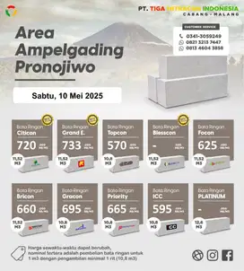 BATA RINGAN AMPELGADING