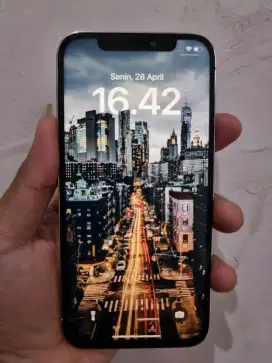 Apple iPhone 12 Pro 256GB Fullset