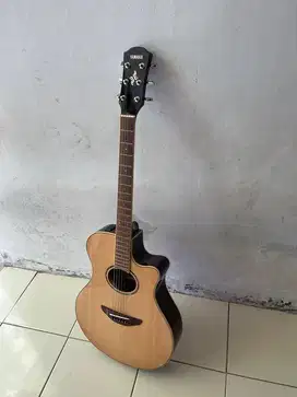 Yamaha ApX 600 original + dr case
