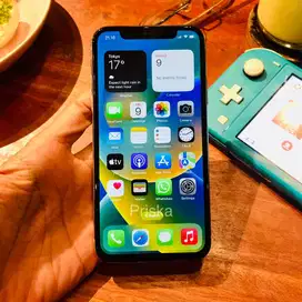iPhone X 256GB Fullset No Minus