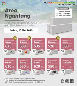 BATA RINGAN NGANTANG