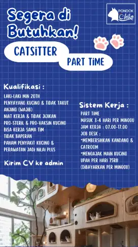 PART TIME : CATSITTER (LAKI-LAKI)