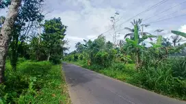 DIJUAL VILLA HITUNG TANAH SAJA 436 ARE DI SEBATU - TEGALLALANG - UBUD