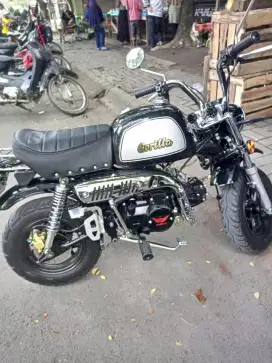 Gazgas Gorilla Mini Motor