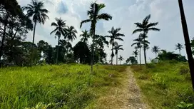 Di Jual Tanah Daerah Cicurug, Sukabumi Jawa Barat.
