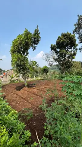 Dijual Tanah 30 Tumbak Siap Bangun