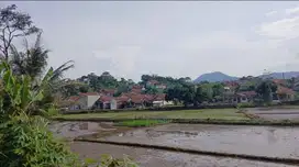 Tanah sawah subur cipacinh pamulihan sumedang
