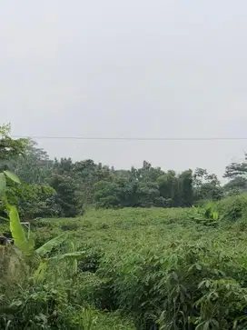 Dijual tanah untuk investasi di Kab. Bogor lt. 1095m2