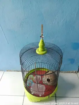 Jual Sangkar burung parkit kenari