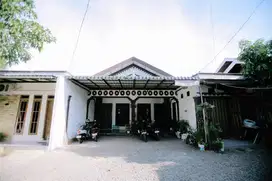 Guesthouse & Homestay
