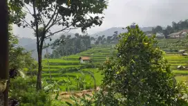 Tanah sawah bagus view lepas nempel jalan air bagus