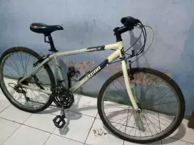 Sepeda gunung POLYGON MONARHC 0.1 uk26