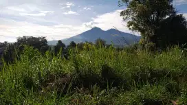Tanah untuk investasi kebun wisata sangat strategis view lepas gunung