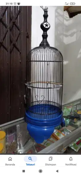 Kandang kolibri atau pleci