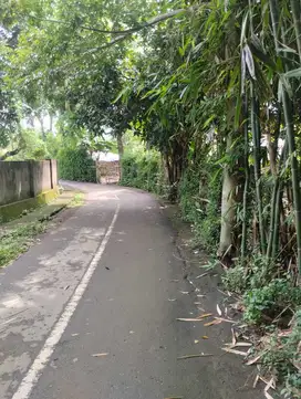 Tanah di meninting Lombok Barat