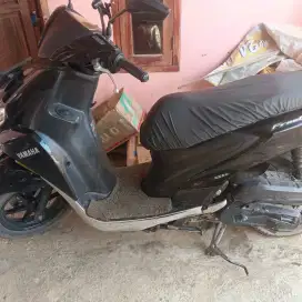 Yamaha FreeGo 125 2020 standar