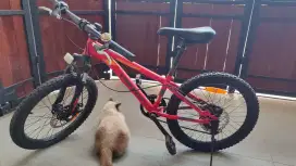 Sepeda anak merk united bike mulus semua