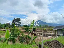 Tanah 913m² Prospektif di Sisir Batu Malang Turun Harga