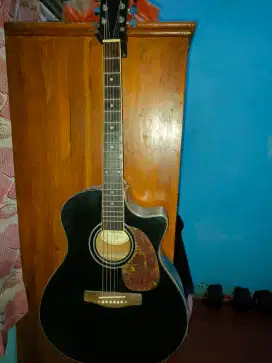 gitar custom epiphone