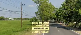 Tanah LD 124 mtr, Jl Raya Propinsi Madiun-NGAWI, Ciamik
