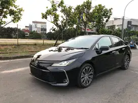 Toyota Altis V 2021