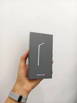 Samsung Galaxy S25