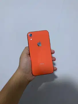 iPhone Xr 64 GB beacukai