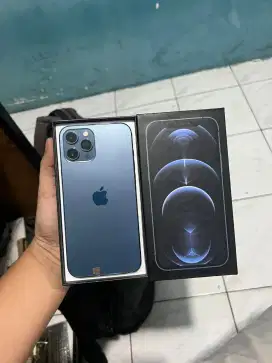 Ip 12 Promax 128gb inter