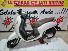 Scoopy keyless 2024 platt W