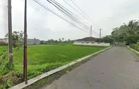 SHM Sawah, Dekat Jalan Kaliurang Jogja, Tanah MURAH Kampus UII