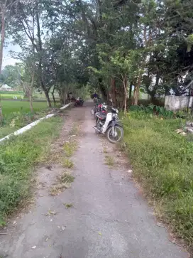 Tanah murah di sumberharjo prambanan